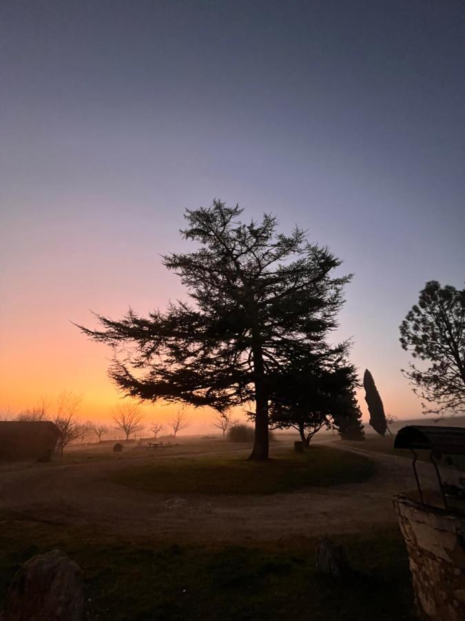 L'Adeenne Gondrin Luaran gambar